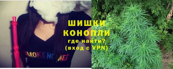 СК Покров