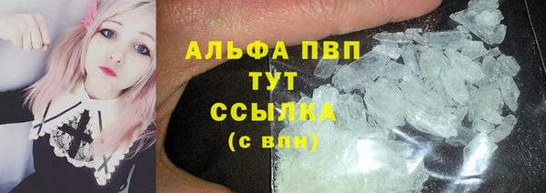 СК Покров