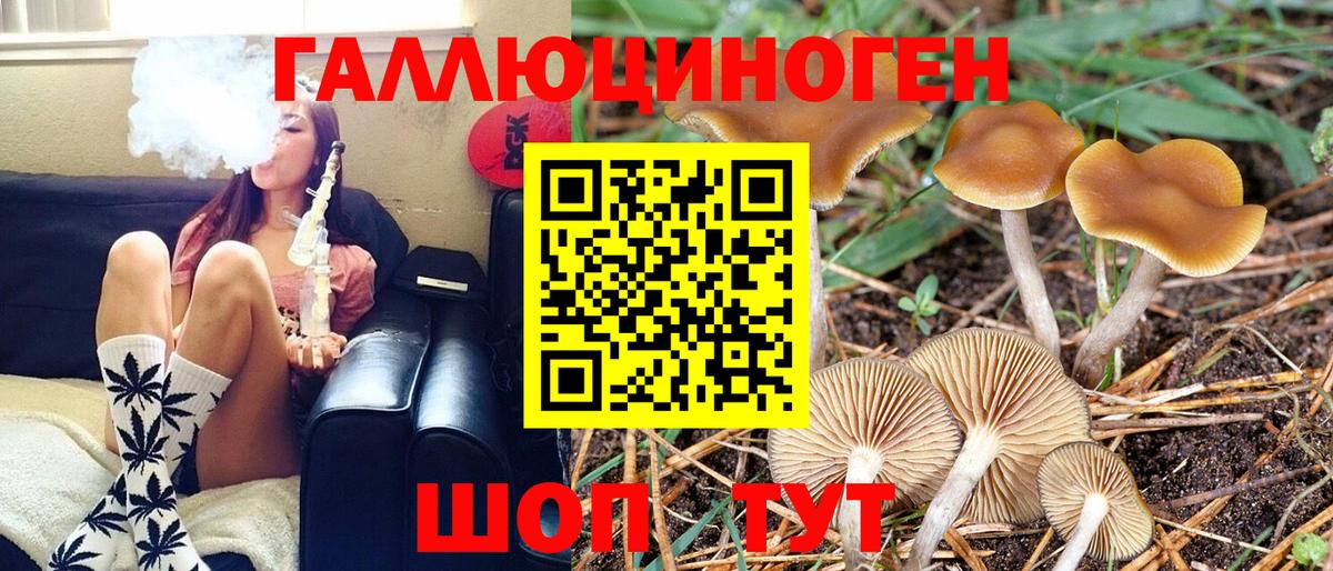 Галлюциногенные грибы GOLDEN TEACHER  закладки  Галлюциногенные грибы Psilocybe  Апшеронск  Вход с VPN 